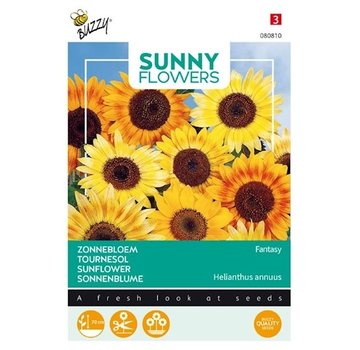 Buzzy Sonnenblume Fantasie Samen