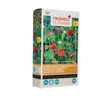 Buzzy Friendly Flowers Blumenmischung für Marienkäfer 15m²