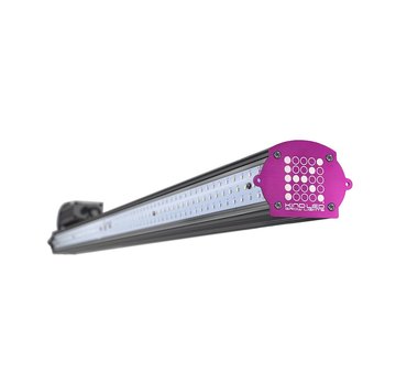 Kind Led LED Growlampe Kind Led XD75 LED Stab