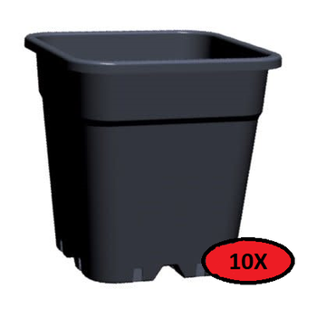 Fertraso 10x Anzuchttopf Viereckig 11 Liter 24x24 cm Schwarz