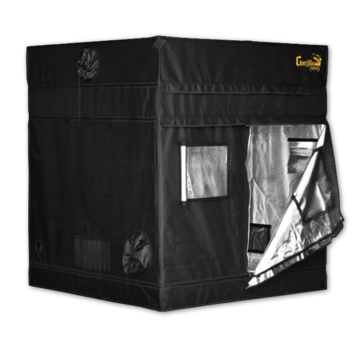 Gorilla GGT55 Growbox 152x152 cm