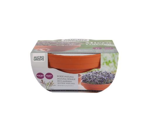 Buzzy Grow Gifts Terrakotta Blumentopf Roter Mizuna