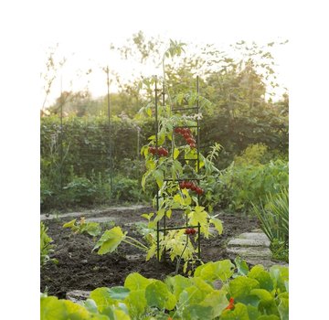 Nature Tomaten-Stützdreieck 3xH150cm x Ø11mm