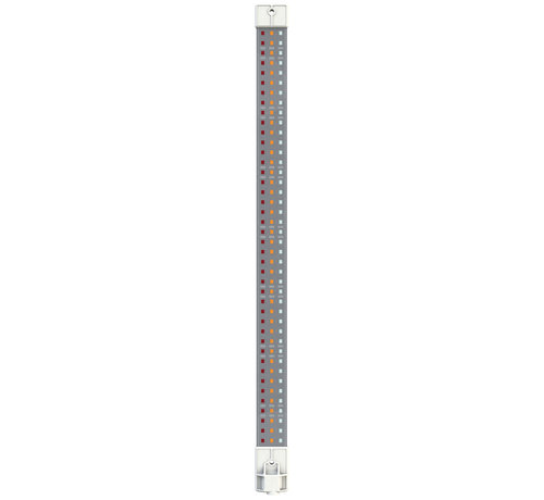 Secret Jardin Cosmorrow LED 20 Watt Full  Spectrum Blüte 50 cm