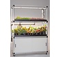 Kitchenfarm XL für Microgreens