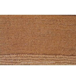 Nepal Namaste Art. 555