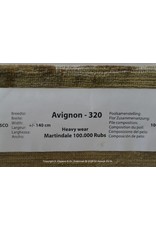 Avignon 320