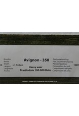 Avignon 350