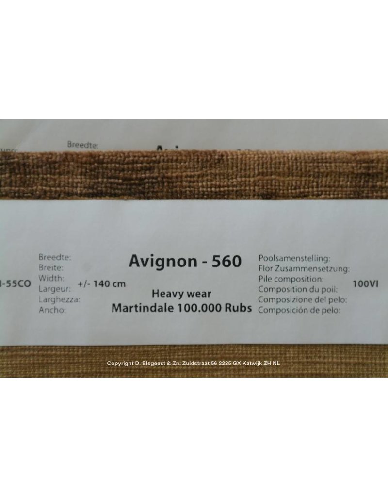 Avignon 560
