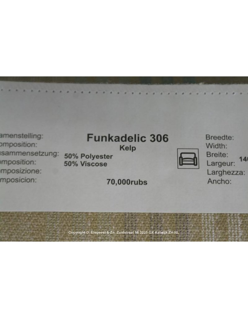 Thats Slammin Funkadelic 306