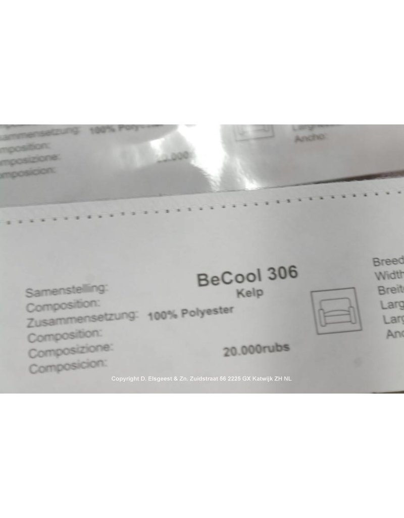 Whatsup Becool 306