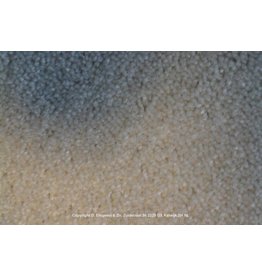 Sfeervol Wonen Astra 72