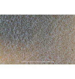 Sfeervol Wonen Astra 75