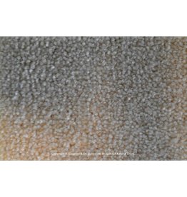 Sfeervol Wonen Astra 77