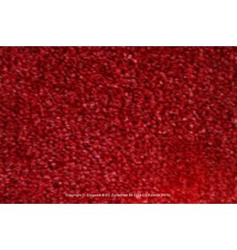 Sfeervol Wonen Astra 82