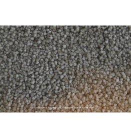 Sfeervol Wonen Optimo 208