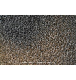 Sfeervol Wonen Optimo 202