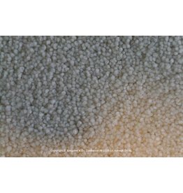 Sfeervol Wonen Optimo 204