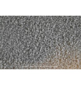 Sfeervol Wonen Optimo 205