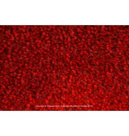 Sfeervol Wonen Optimo 211