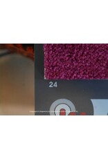 Sfeervol Wonen Sunny 24