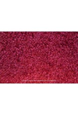 Sfeervol Wonen Sunny 24