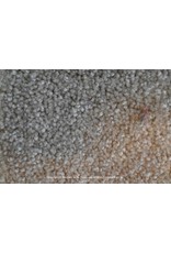 Sfeervol Wonen Sunny 31