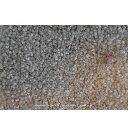 Sfeervol Wonen Sunny 31