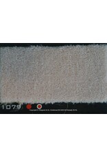 Louis de Poortere Richelieu 1079