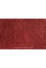 Sfeervol Wonen Rimini 303