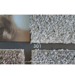 Sfeervol Wonen Shine 301