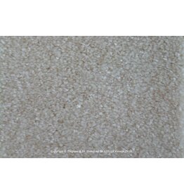 Sfeervol Wonen Spark 401