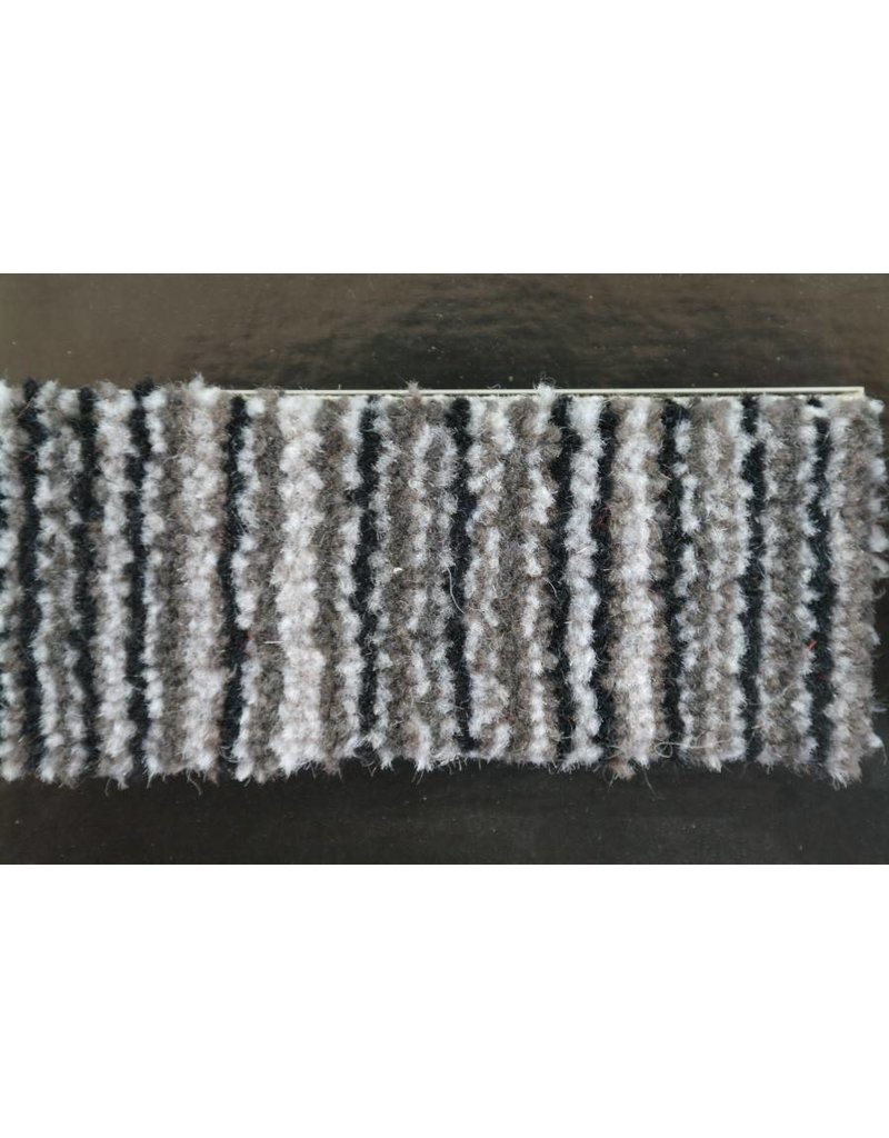 Traplopers  Move  Border 2007-15