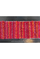 Traplopers  Move  Border 2007-56