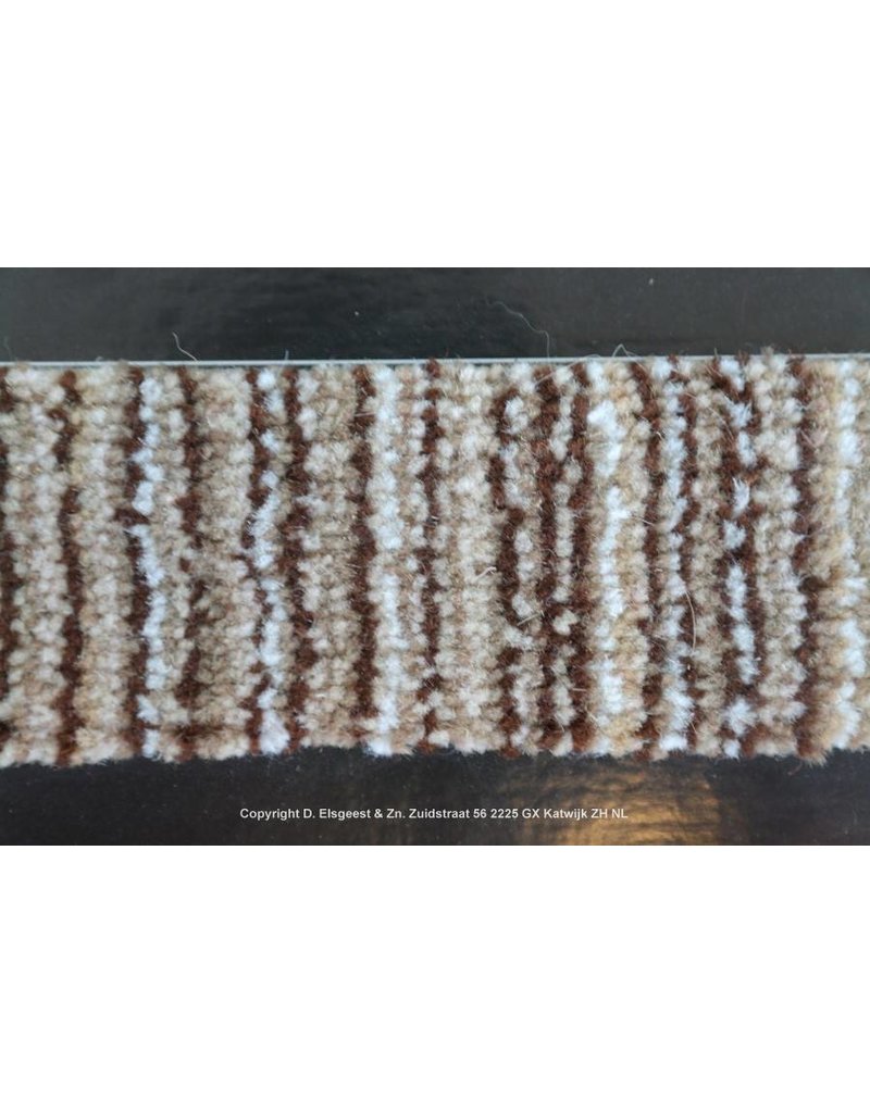 Traplopers  Move  Border 2007-71