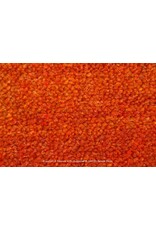 Traplopers  Qashqai 61001