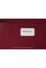 Palmer 05-20