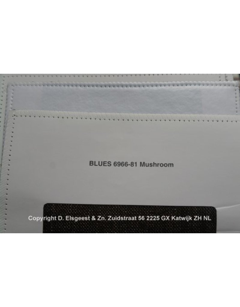 Fluggerhaus Blues Mushroom 6966-81
