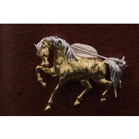 18k bicolor broche paard met Briljant