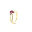 ROS  Jewel Design 18 k bicolor gouden ring met robijn en briljanten