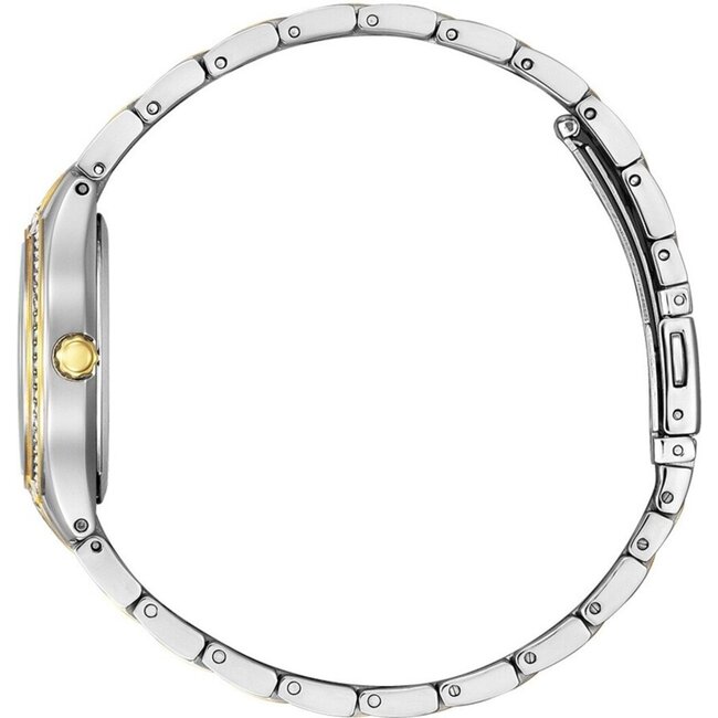 CITIZEN Citizen FE1234-50L st/bico ecodrive BAB.DK