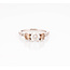 ROS  Jewel Design 14k witgouden ring Trilogy met Diamanten