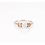 ROS  Jewel Design 14k witgouden ring Trilogy met Diamanten