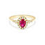 ROS  Jewel Design 14k ring de Ruby Smile gezet met Robijn en Diamant
