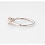 ROS  Jewel Design 18k witgouden ring de Diamond Suprise gezet met diamant