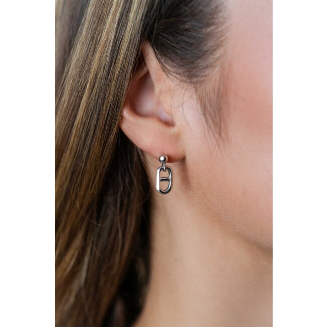 ZINZI ZINZI ZIO2580 oorbellen