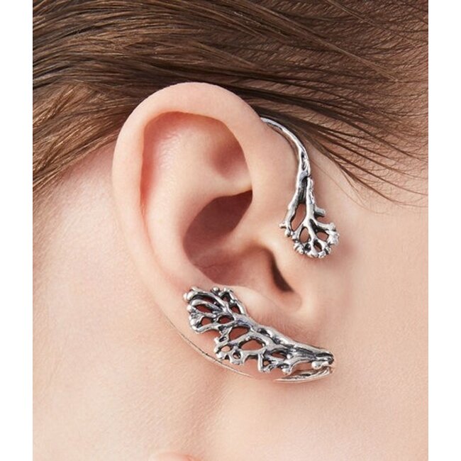 GIOVANNI RASPINI ear cuffs Coral