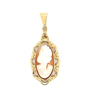 14k  gouden hanger gezet met een Camee