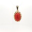 14k hanger gezet met Bloedkoraal