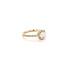 ROS  Jewel Design 14k gouden ring gezet met Briljanten